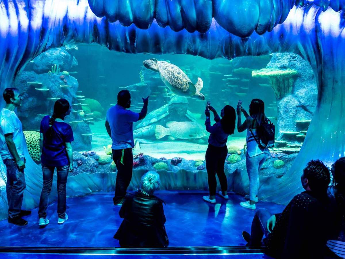 Six Ways to Make the Most of Sydney’s New Winter Arts Festival (From Free to&nbsp;Fancy)