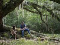 Review: Where The Crawdads Sing&nbsp;(2022)